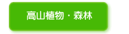 RAEX