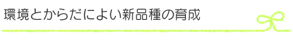 環境とからだによい新品種の育成